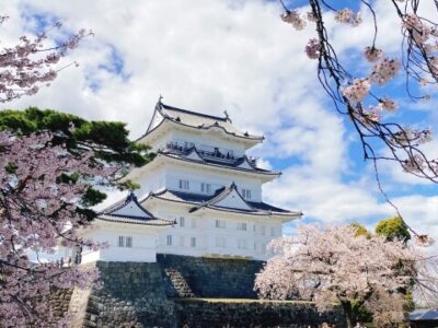 小田原市