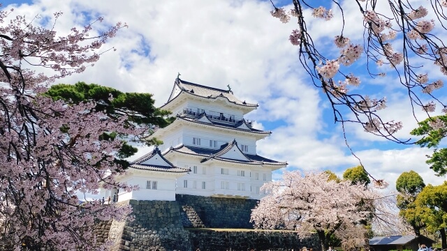 小田原市