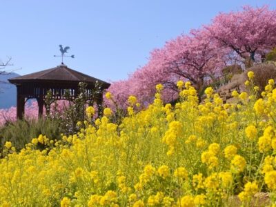 松田町