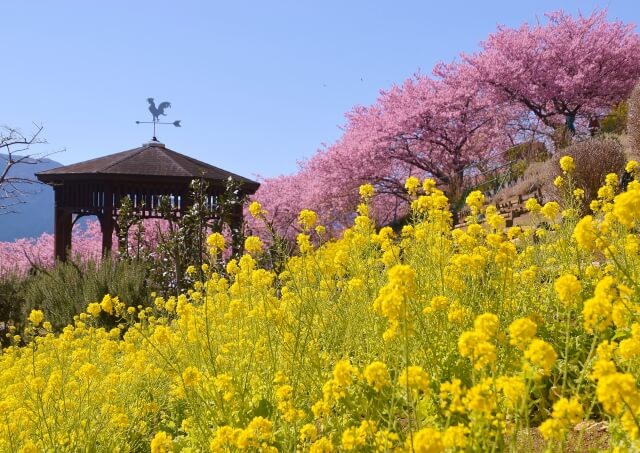 松田町