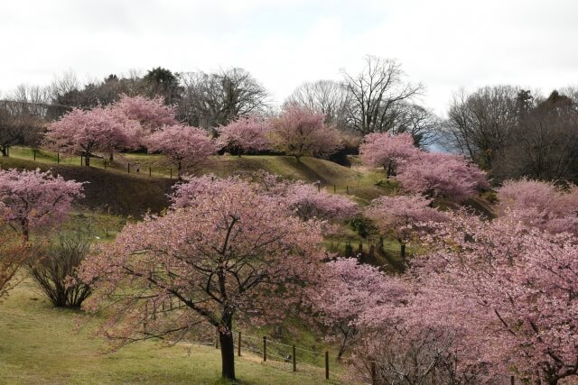 大井町